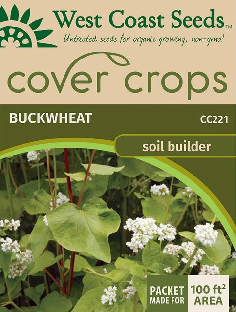 Cover Crops - Buckwheat