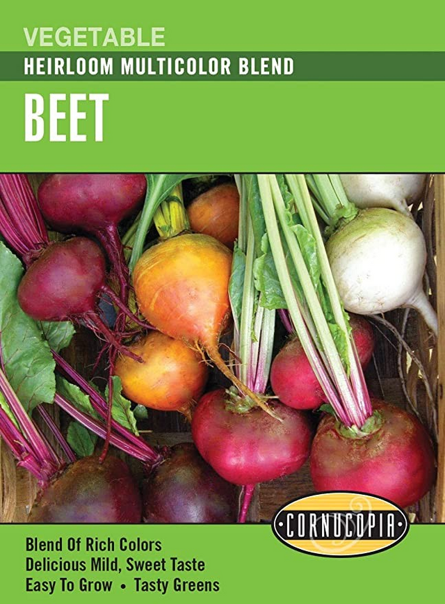 Beet - Beet Multi Color Blend – Green Thumb Garden Centre
