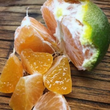 Citrus unshiu - Kuno Wase Mandarin Orange