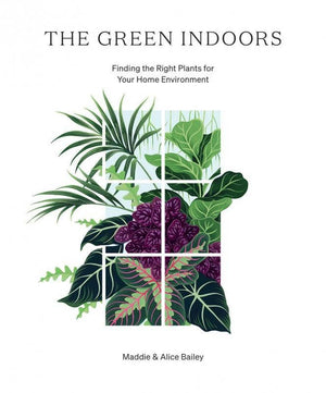 Green Indoors: Finding the Right Plants for Your Home