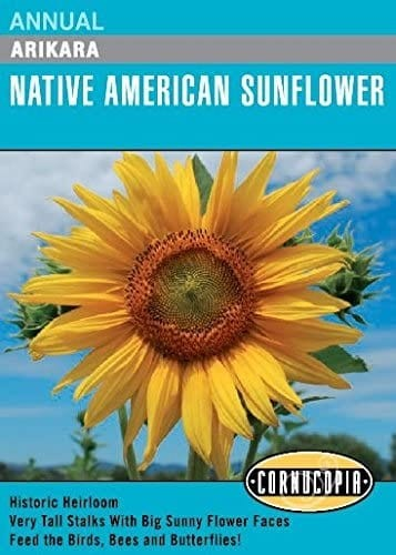 Sunflower - Arikara