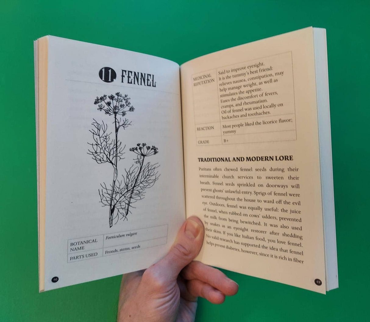 Everyday Herbal Teamaking: Health, Fun, and Self-Care Guide