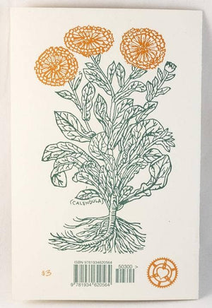 Herbal First Aid: Assembling a Natural First Aid Kit