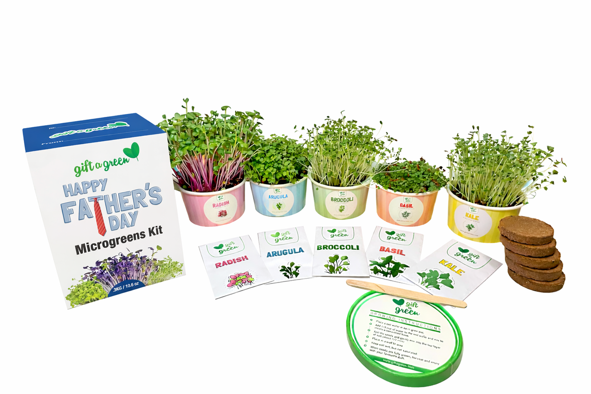 Father's Day Sow and Grow Organic Microgreens Gift Box