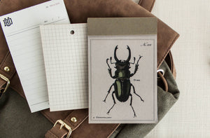 Beetle Lined Paper Notepad