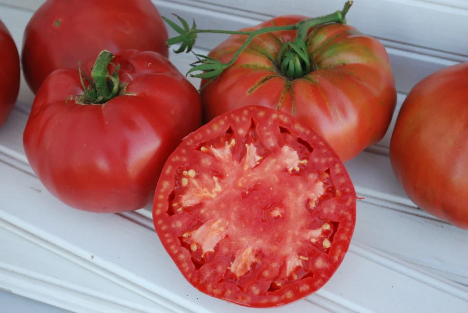 Tomatoes - Pruden's Purple Certified Organic