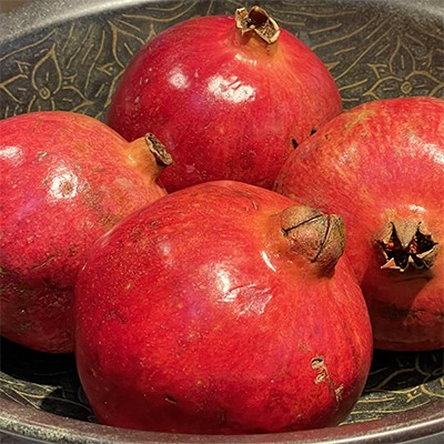 Pomegranate-Punica granatum 'Afganski'