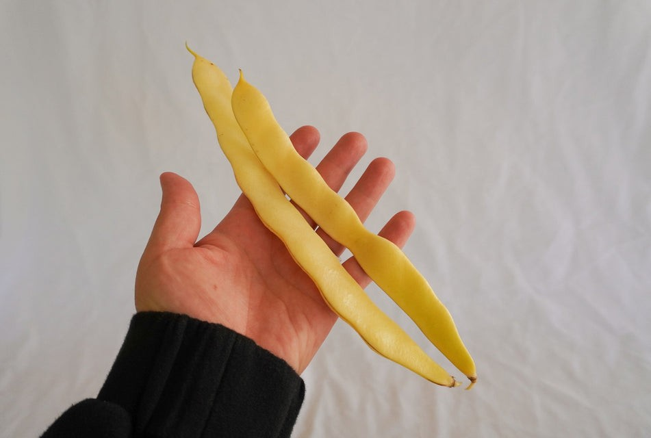 Beans - Golden Gate Organic