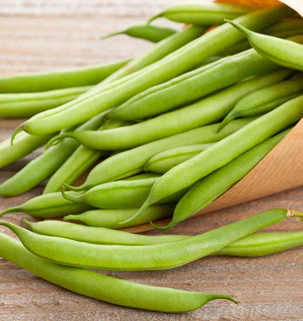 Beans - Kentucky Wonder