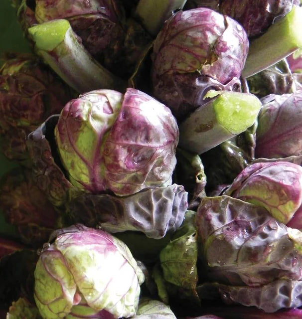 Brussel Sprouts - Red Ball