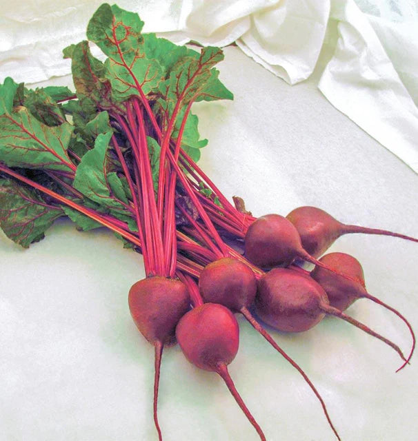Beets -Early Wonder Tall Top