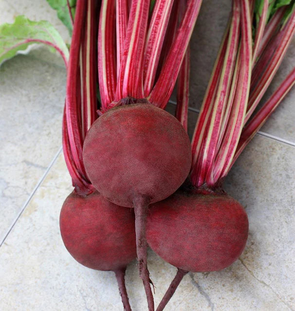 Beets - Detroit Supreme