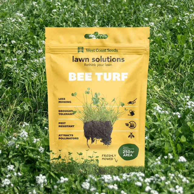 Lawn Solutions - Bee Turf