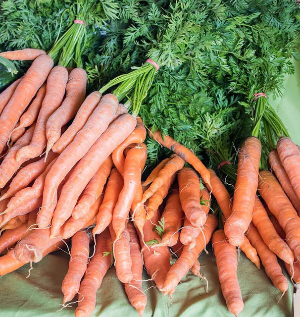 Carrots - Mokum
