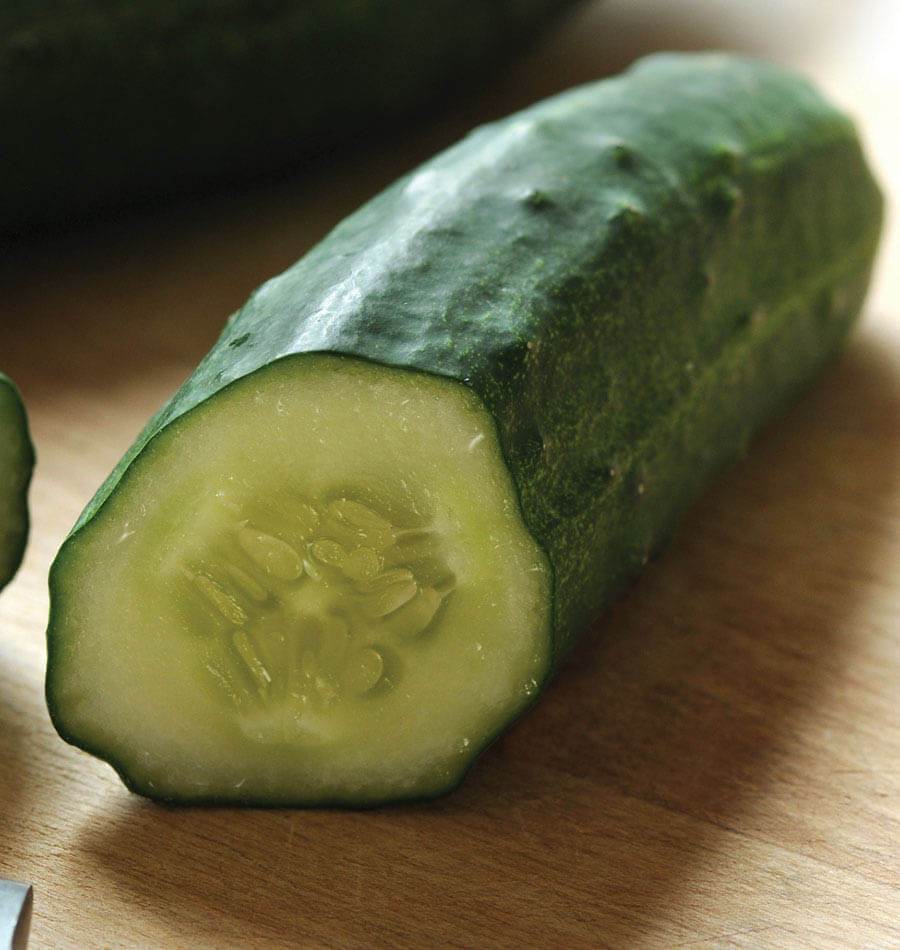 Cucumbers - Patio Snacker