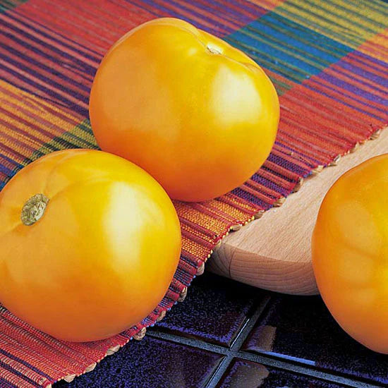 Tomatoes - Carolina Gold