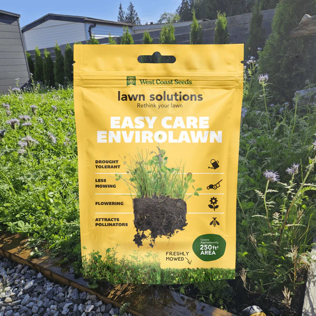 Lawn Solutions - Easy Care Envirolawn