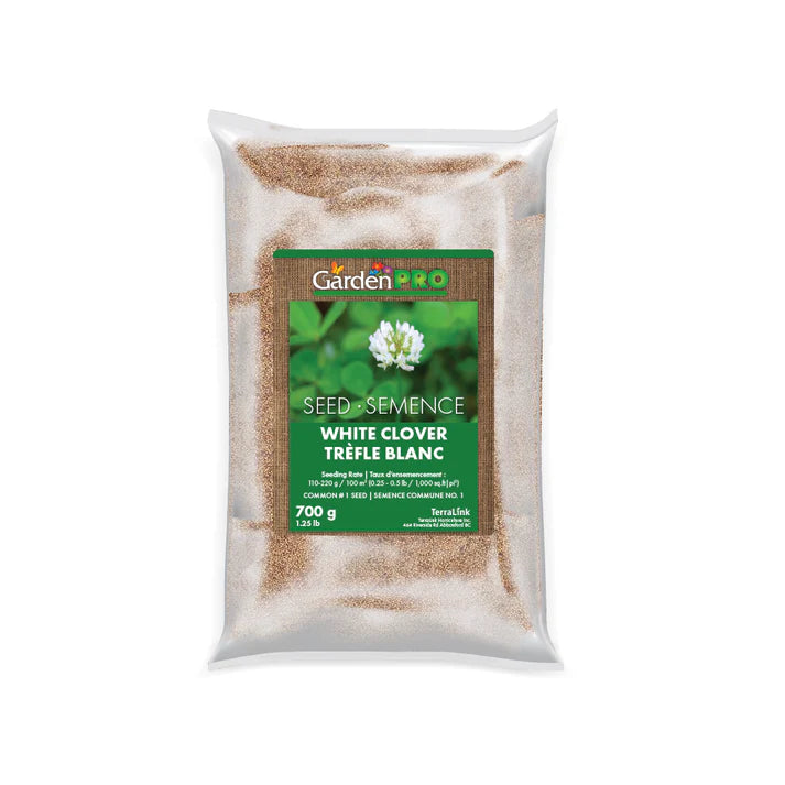 Clover - White, Low Growing