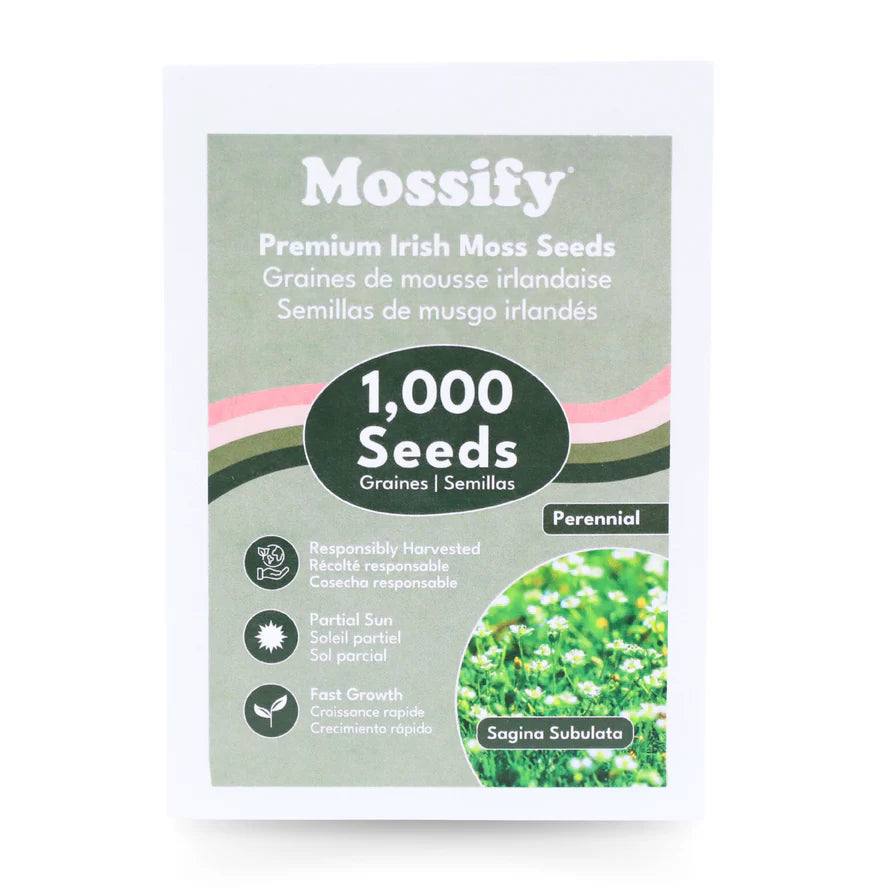 Irish Moss Seed - Sagina Subulata