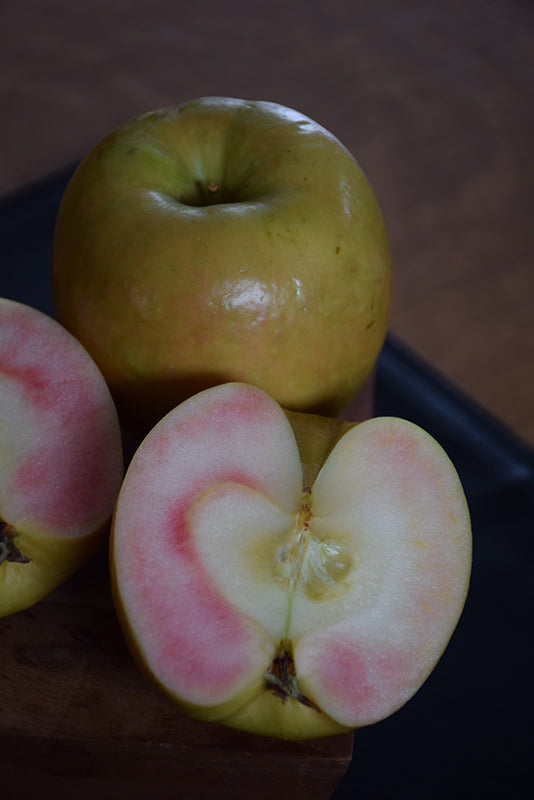 Apple - Malus 'Pink Pearl'