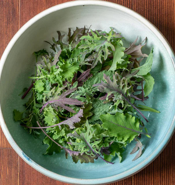 Kale - Storm (Pelleted)