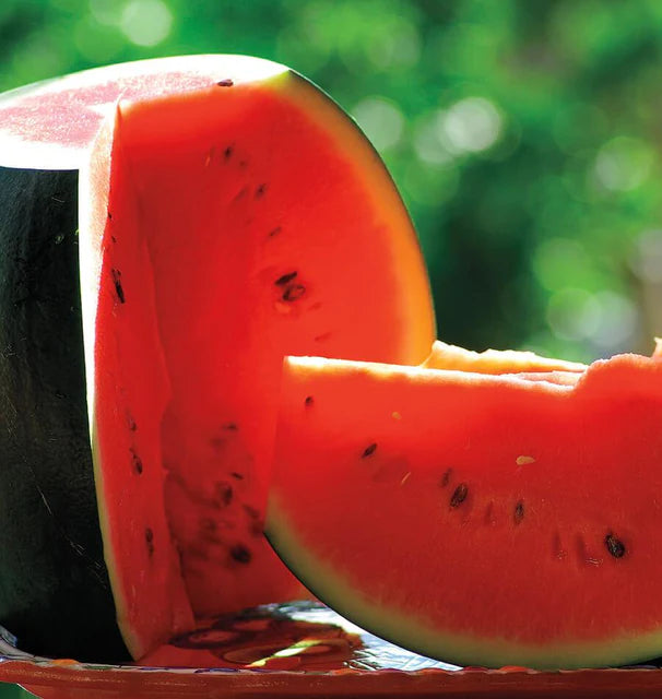 Melons - Sugar Baby Certified Organic