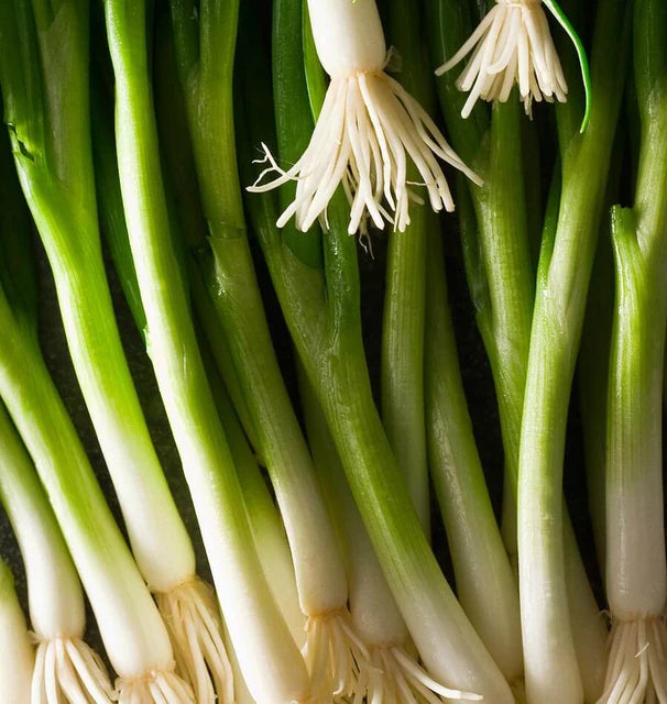 Onions - Parade - Certified Organic