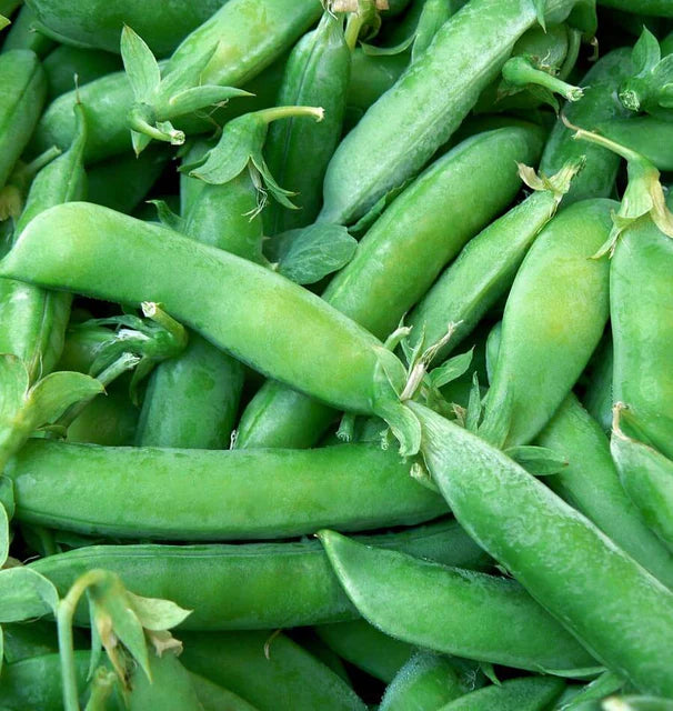 Peas - Super Sugar Snap