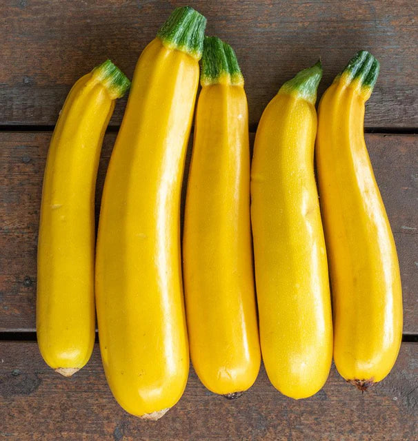 Squash - Goldy Certified Organic