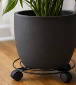 Pacific Rim Plant Caddy
