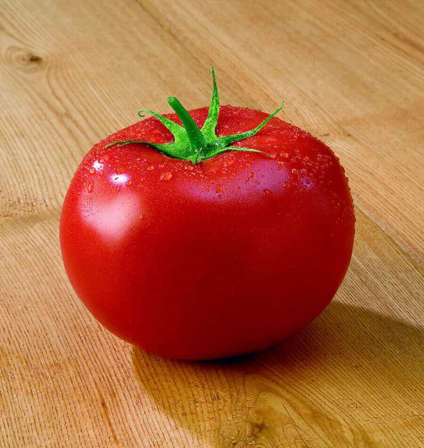 Tomatoes - Tasti-Lee