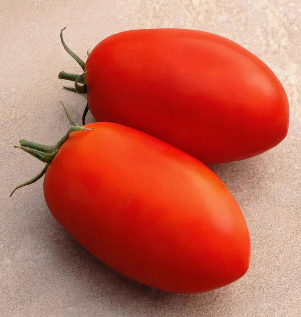 Tomatoes - Optimax