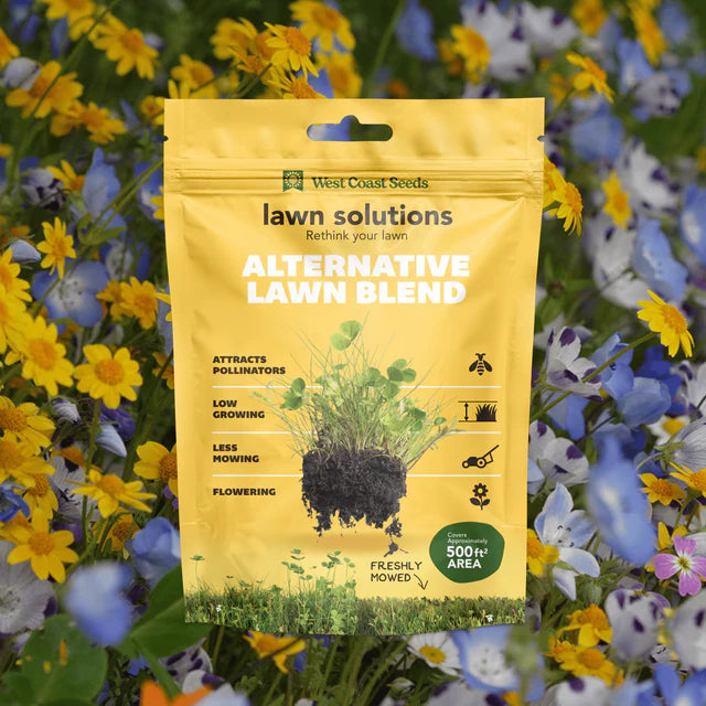 Lawn Solutions - Alternative Lawn Blend/Mix