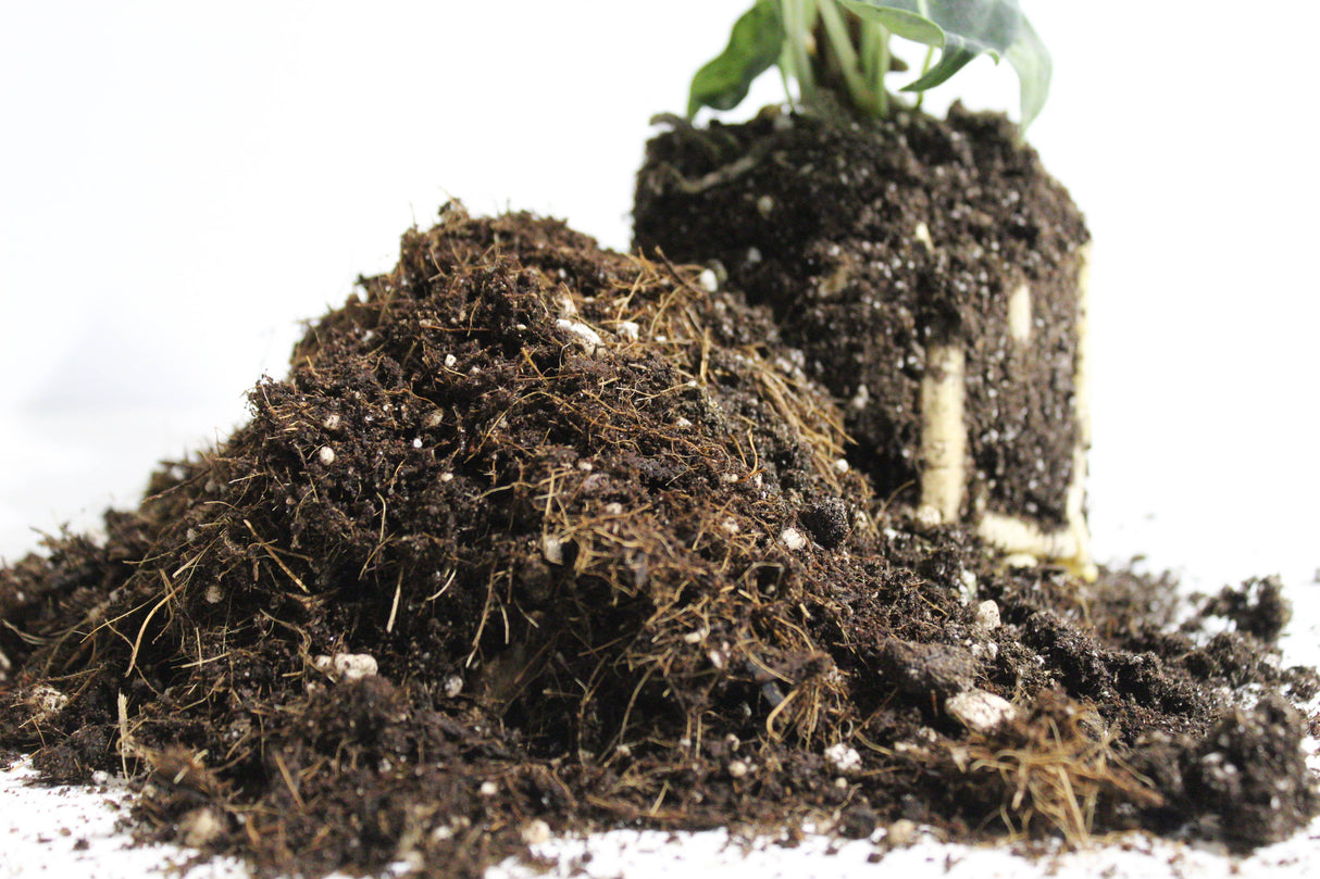 General blend-Potting soil for indoor plants