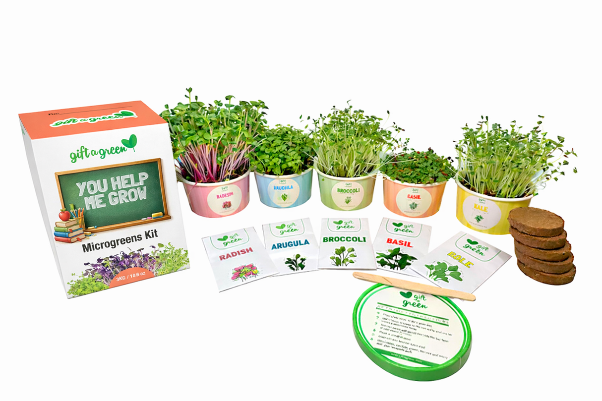 Teacher Gift Box - Sow and Grow Organic Microgreens