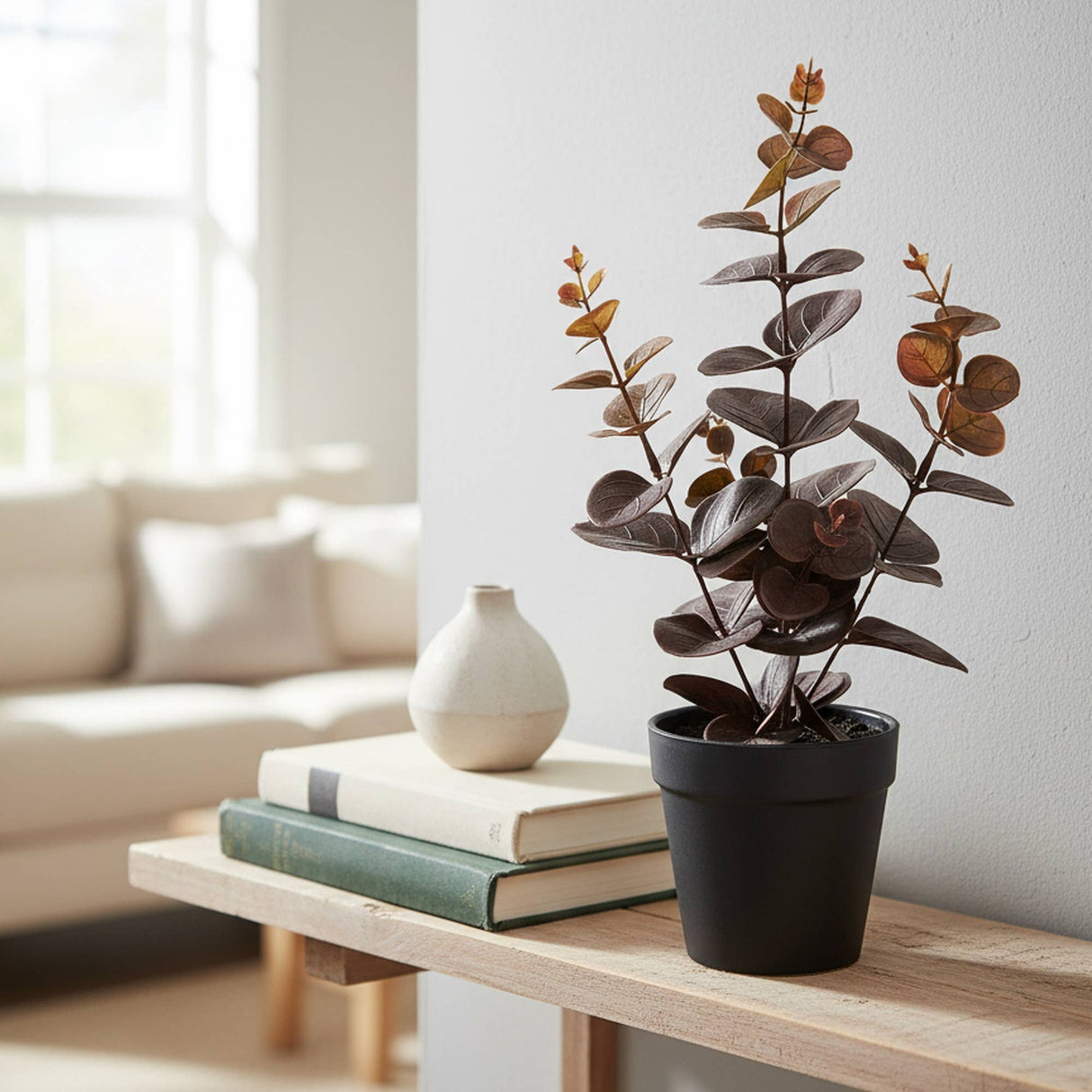 Decorative Plant- Eucalyptus