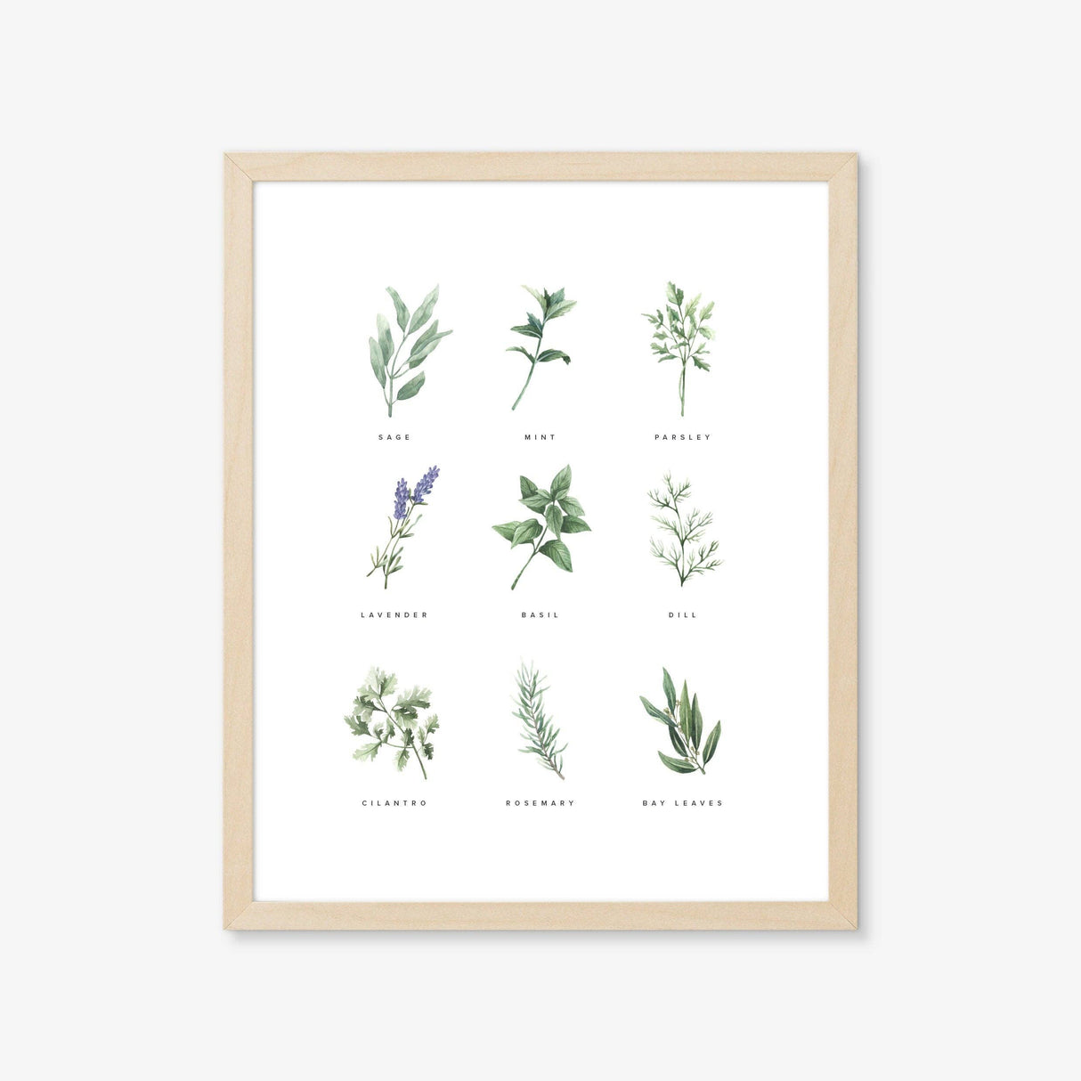 Backyard Herb Garden Art Print