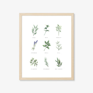 Backyard Herb Garden Art Print