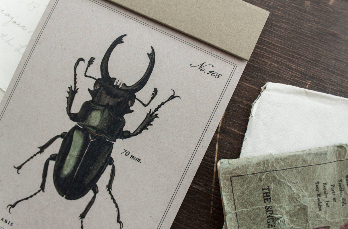 Beetle Lined Paper Notepad
