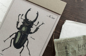 Beetle Lined Paper Notepad