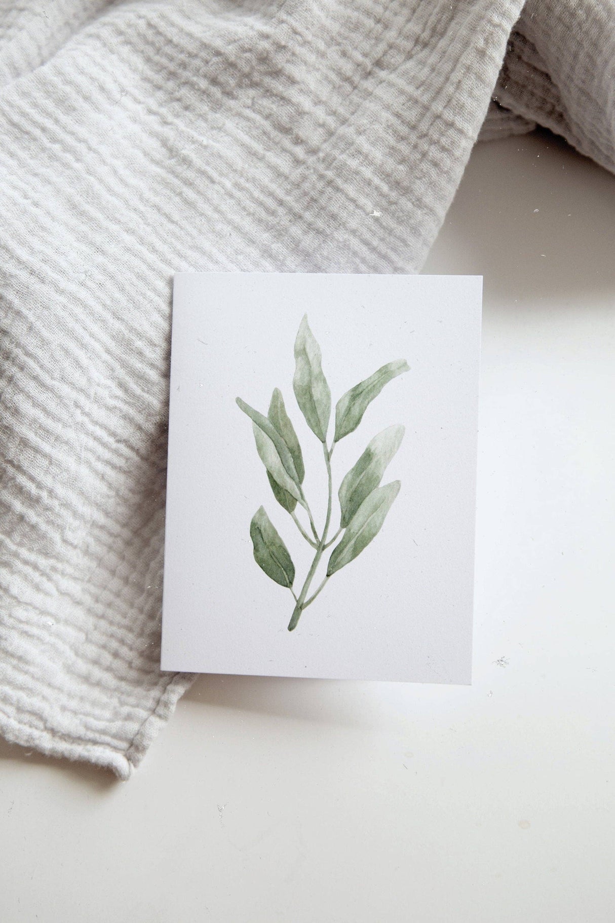 Sage Herb Everyday Greeting Card