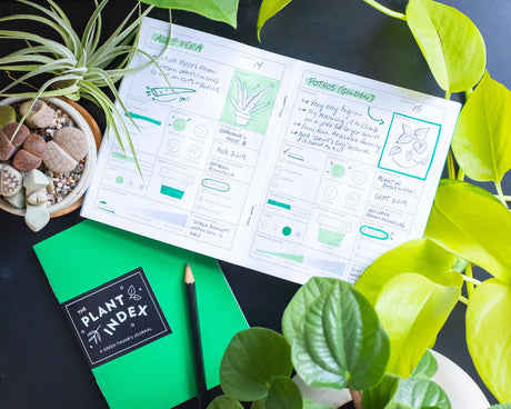 The Plant Index