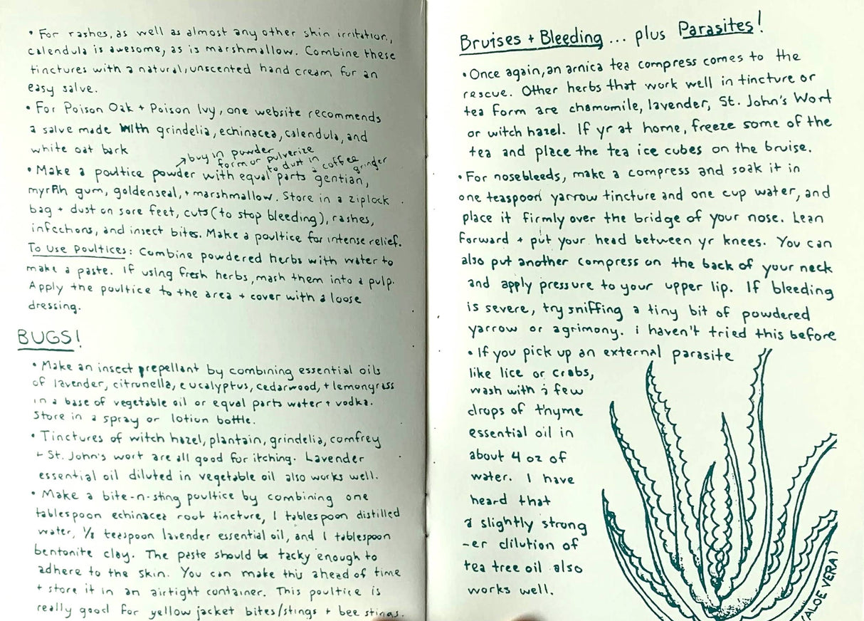 Herbal First Aid: Assembling a Natural First Aid Kit