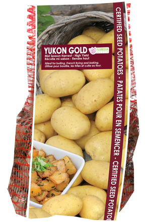POTATOES - Yukon Gold