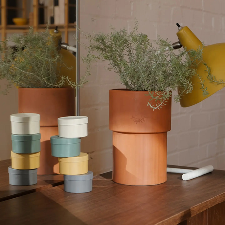 The Librarian Tin Candle - Paper + Musk