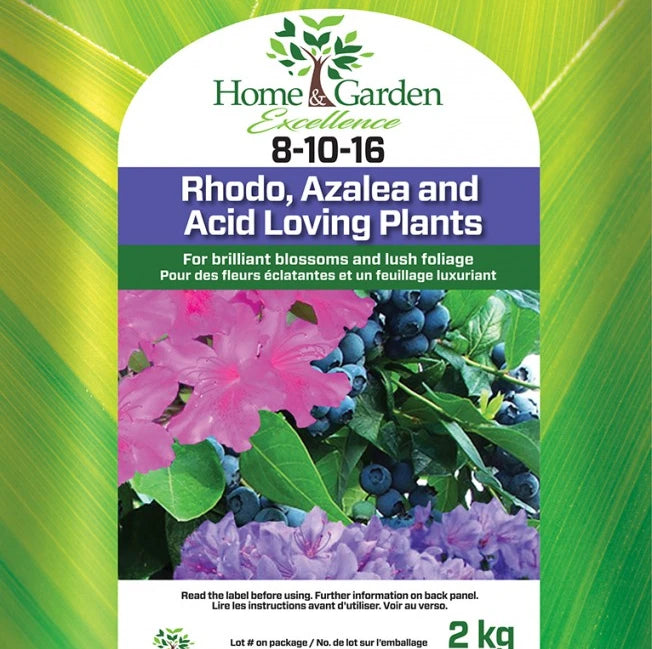 HGE 8-10-16 Rhodo & Azalea