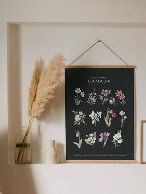 Official Flowers of Canada Art Print