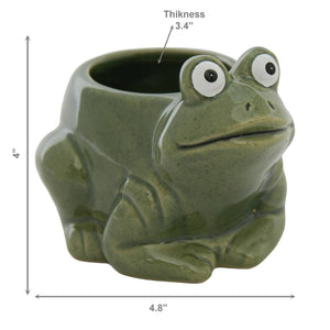 Frog Ceramic Planter