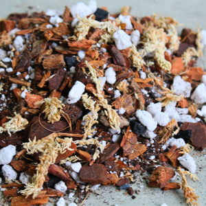 Orchid blend- Potting media