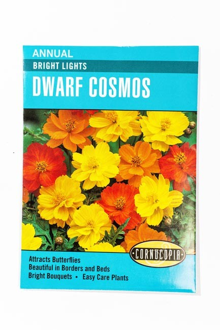 Cosmos - Bright Lights